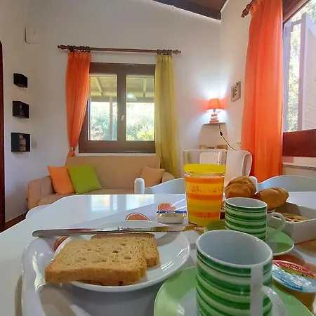 Elia House