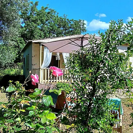 Elia House